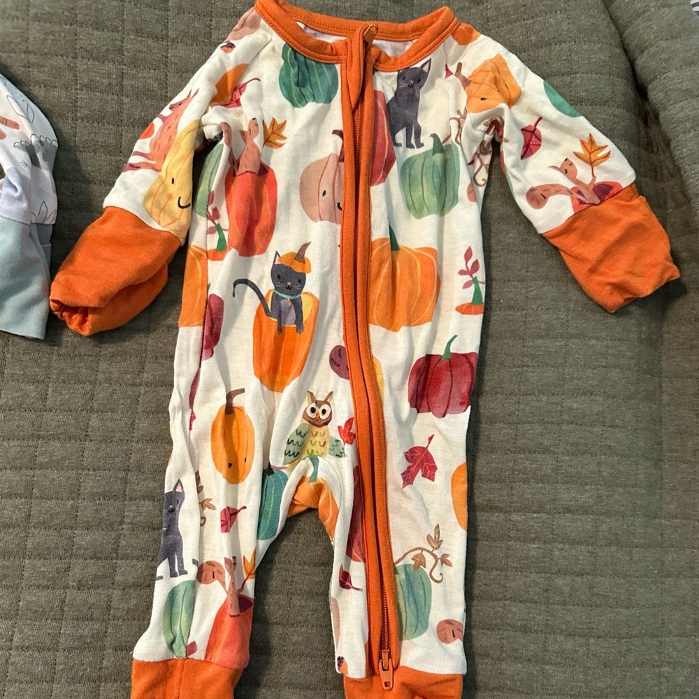 Little sleepies Pumpkin pals premie zippy